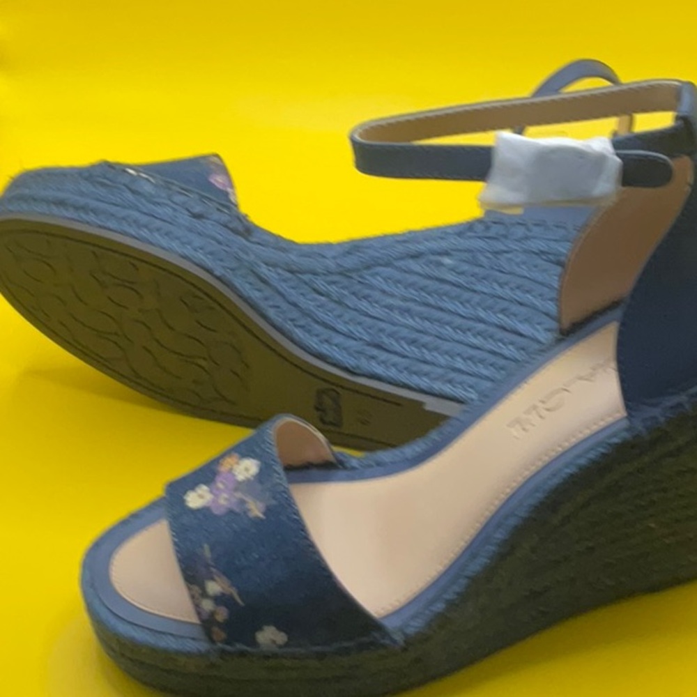 Coach, blue